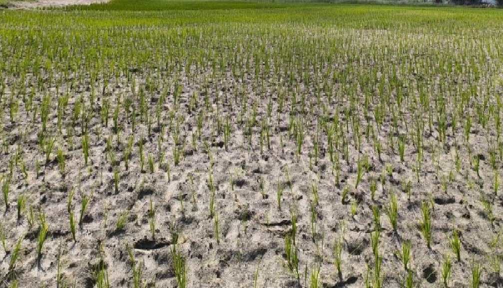 मधेस प्रदेशलाई विपद् संकटग्रस्त क्षेत्र घोषणा गर्ने सरकारको निर्णय