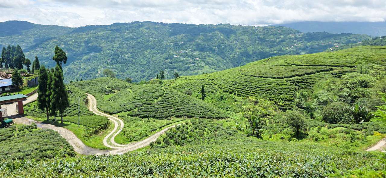 हरियो कार्पेटजस्तै लाग्ने सूर्योदय नगरका रमणीय दृश्य (फोटो फिचर)