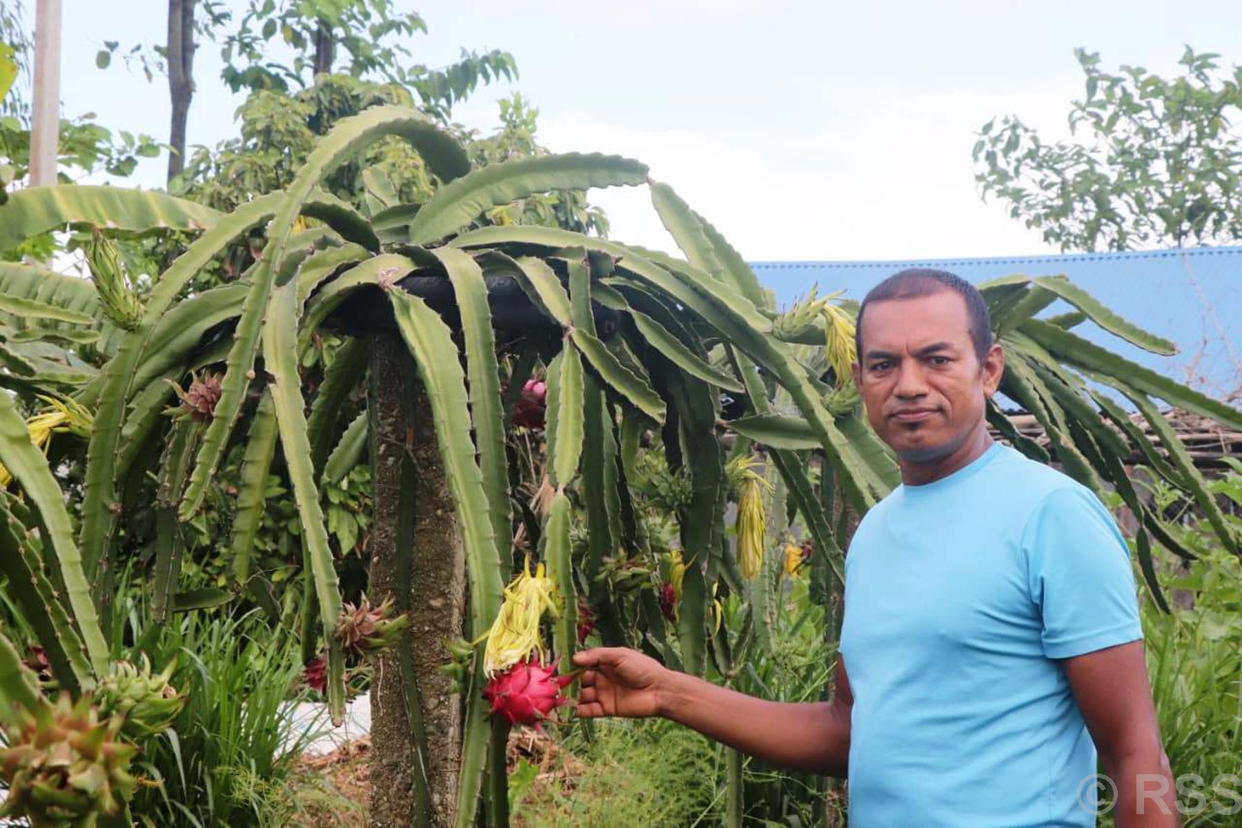 प्रहरी सेवापछि व्यावसायिक खेतीमा पदम