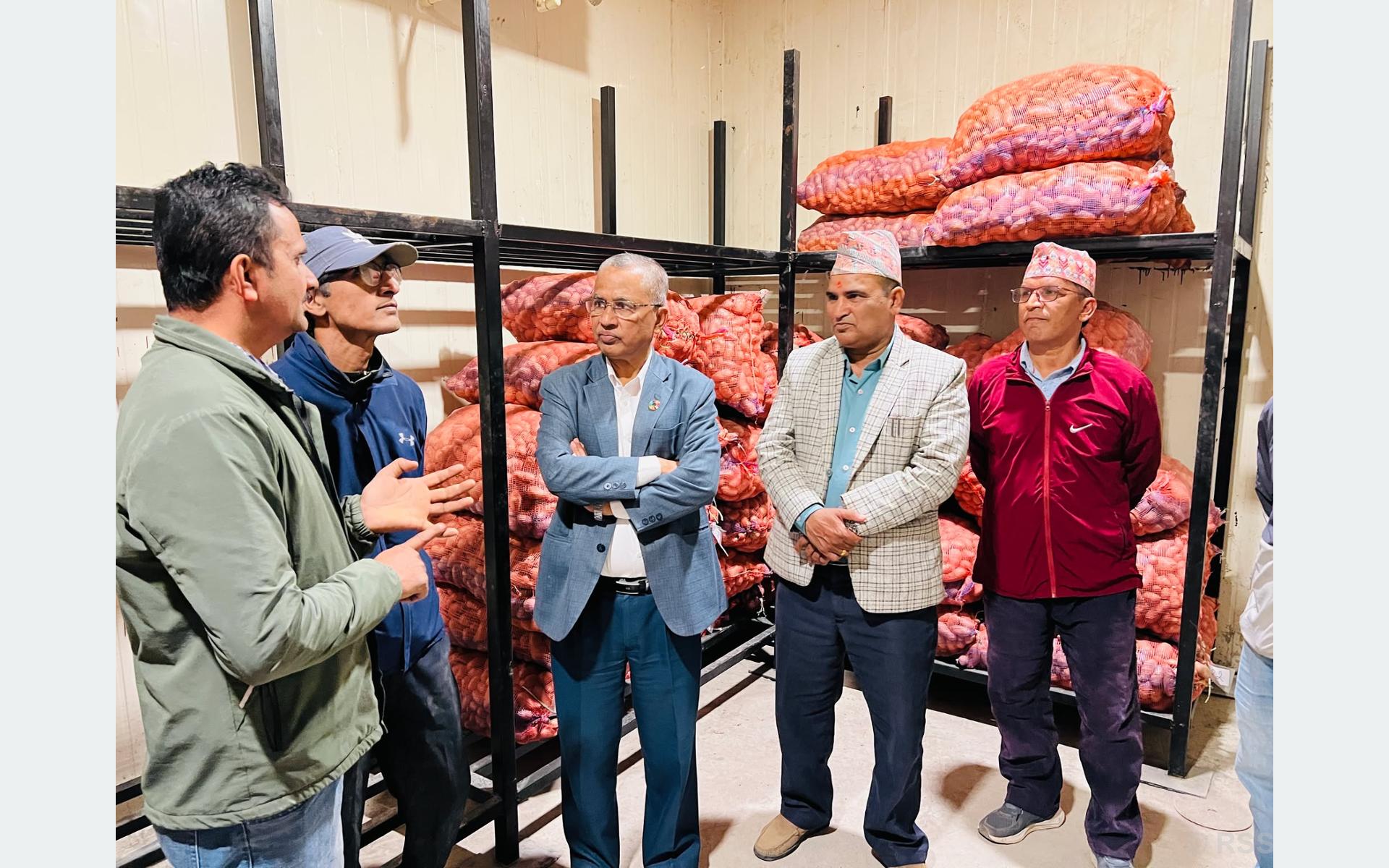 व्यासको चिस्यान केन्द्रमा बीउ आलु भण्डारण निःशुल्क