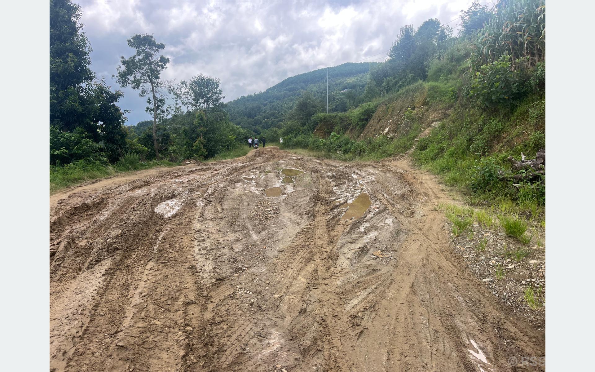 सिमलटारी–सौतामारे–मच्छी सडक निर्माणमा ढिलाइ