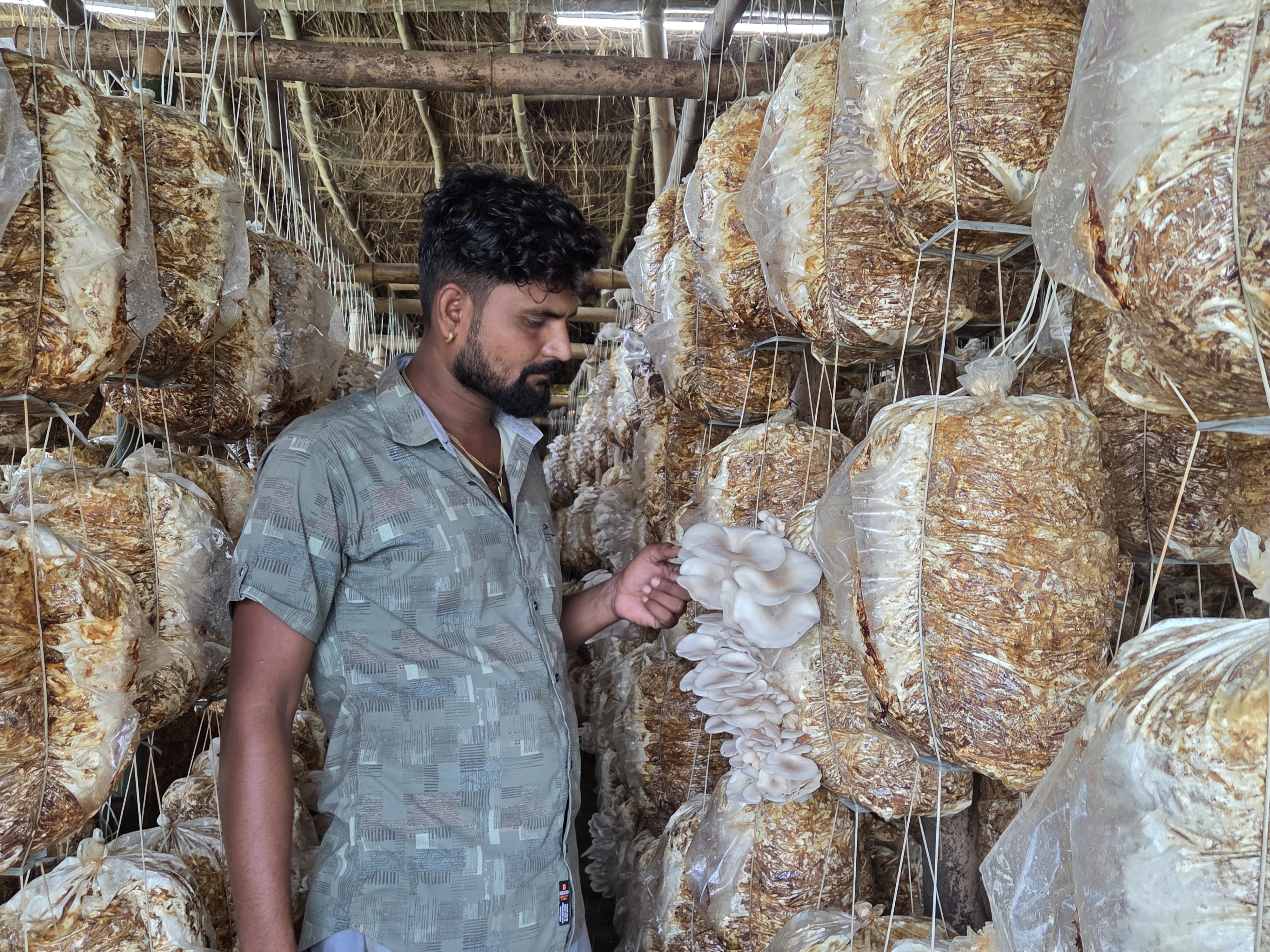 च्याउखेतीबाट वार्षिक १५ लाख आम्दानी