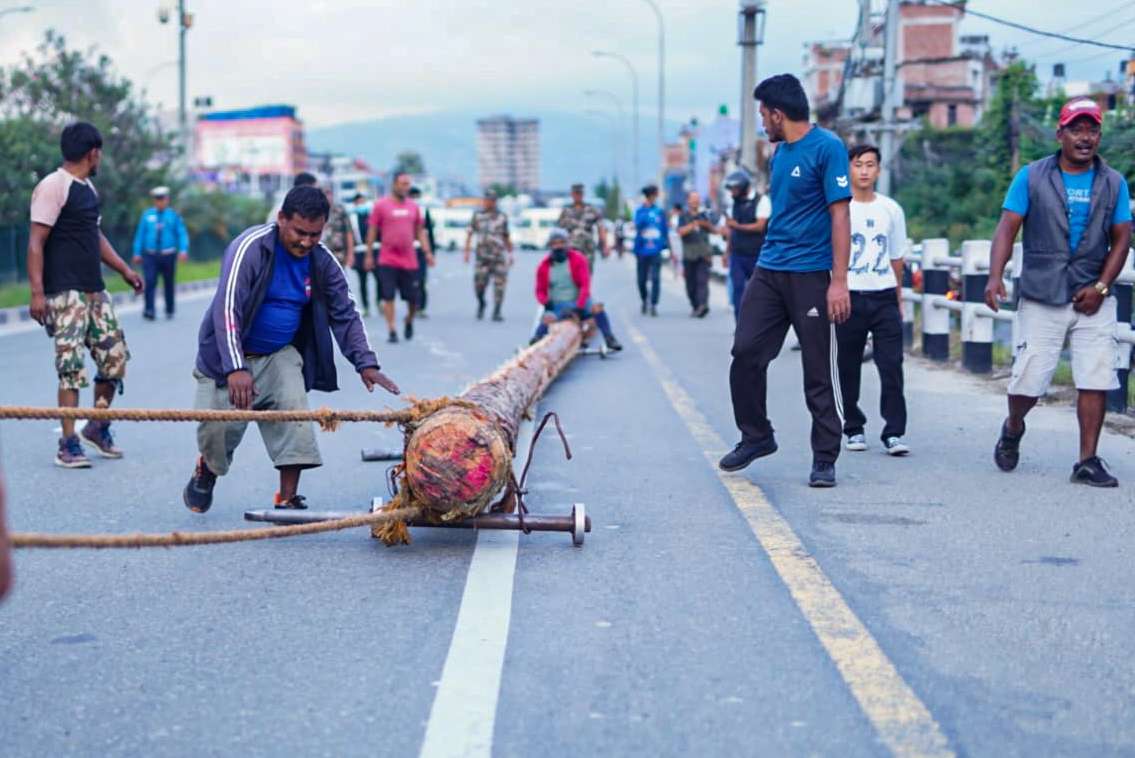 इन्द्र जात्राः नालाबाट ल्याइएको यसिंलाई आज नगर प्रवेश गराई कालभैरव अगाडि राखिदै