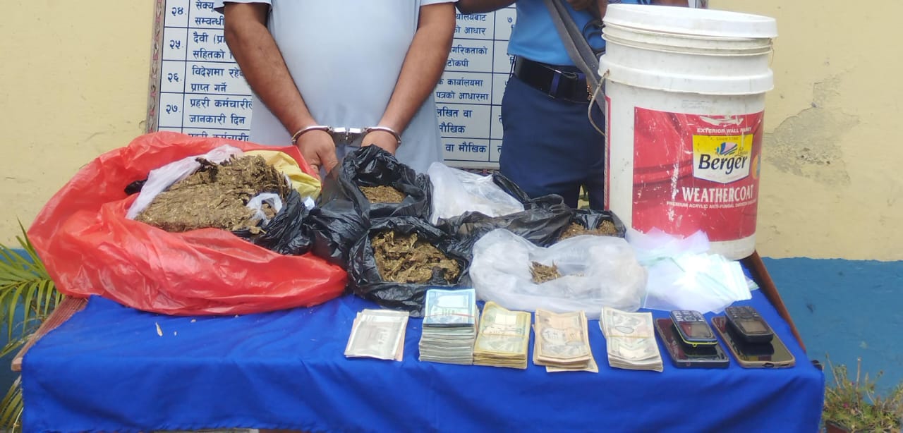 तीन किलोभन्दा बढी गाँजासहित थिङ पक्राउ