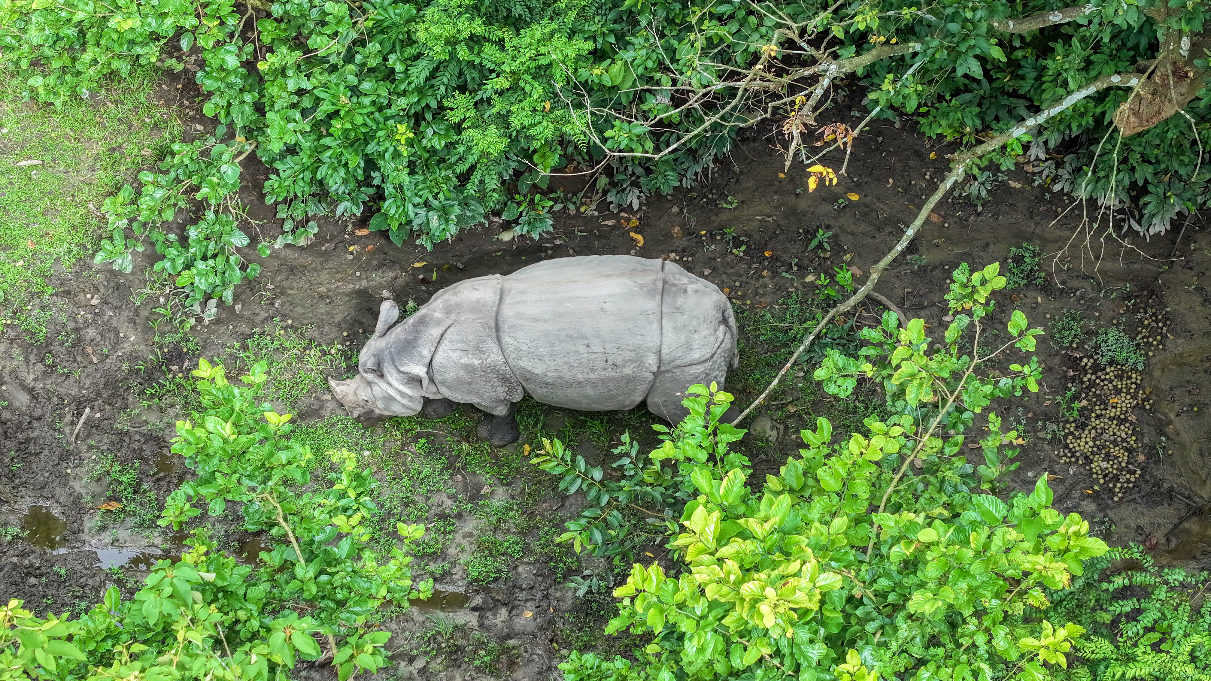 बर्दिया राष्ट्रिय निकुञ्जभित्रको आकर्षण (फोटो फिचर)