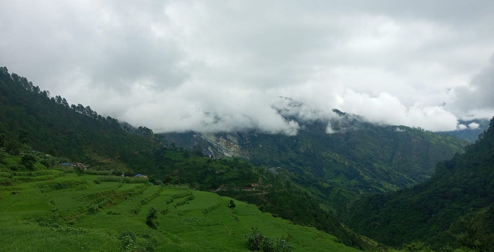 टेलिकमको नेटवर्कमा समस्या, सम्बन्धित निकायले ध्यान नदिएको गुनासो