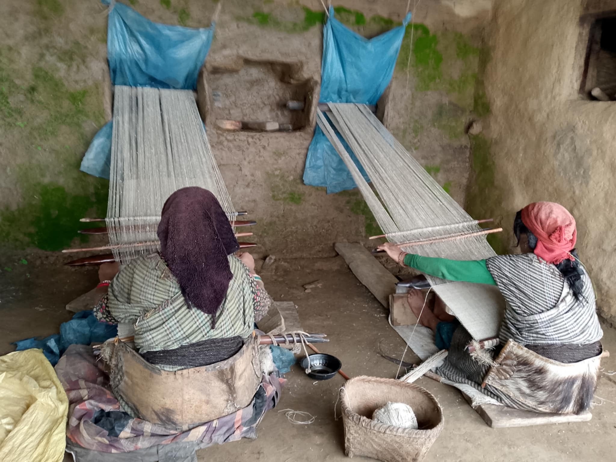 राडीपाखी व्यवसाय आत्मनिर्भरको माध्यम बन्दै, बजार र चरनको अभाव कायमै