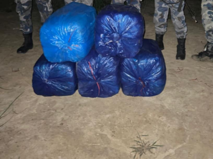 सप्तरीबाट ९८ केजी गाँजा बरामद