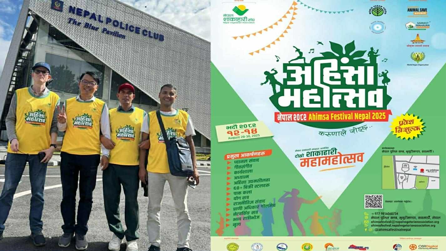 काठमाडौंमा हुने अहिंसा महोत्सवको तयारी पूरा