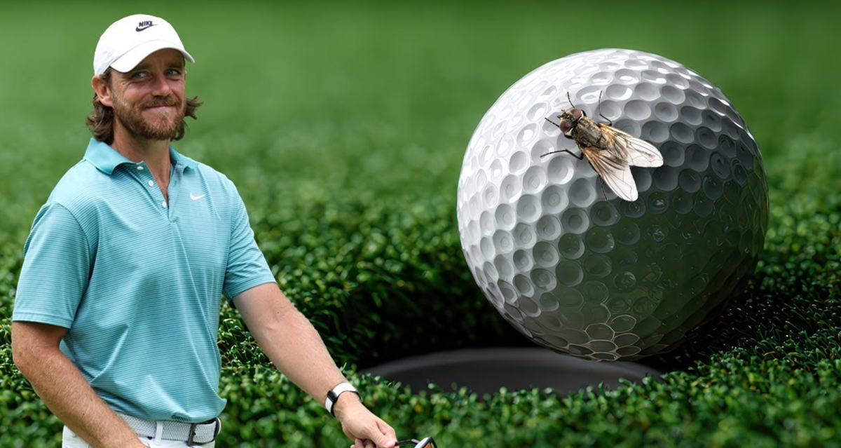 एउटा झिंगाले खेलाडीलाई १२ करोड रूपैयाँ जिताइदिएपछि…