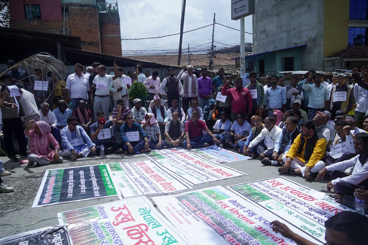 माग पूरा नभए तीन जिल्लामा प्रदर्शन गर्ने उखु किसानको चेतावनी (तस्बिरहरू)