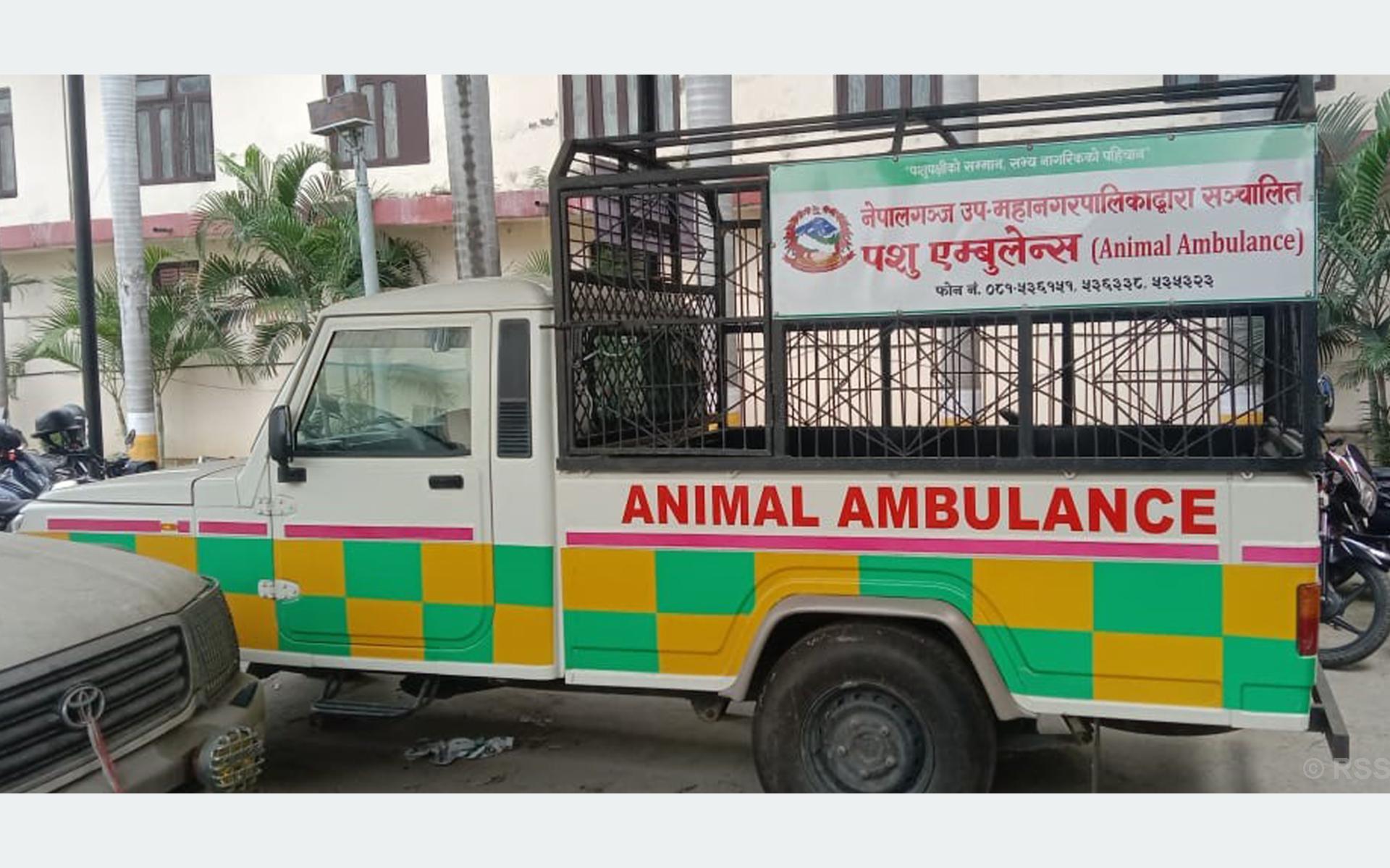 नेपालगञ्जमा ‘एनिमल एम्बुलेन्स’ सञ्चालन