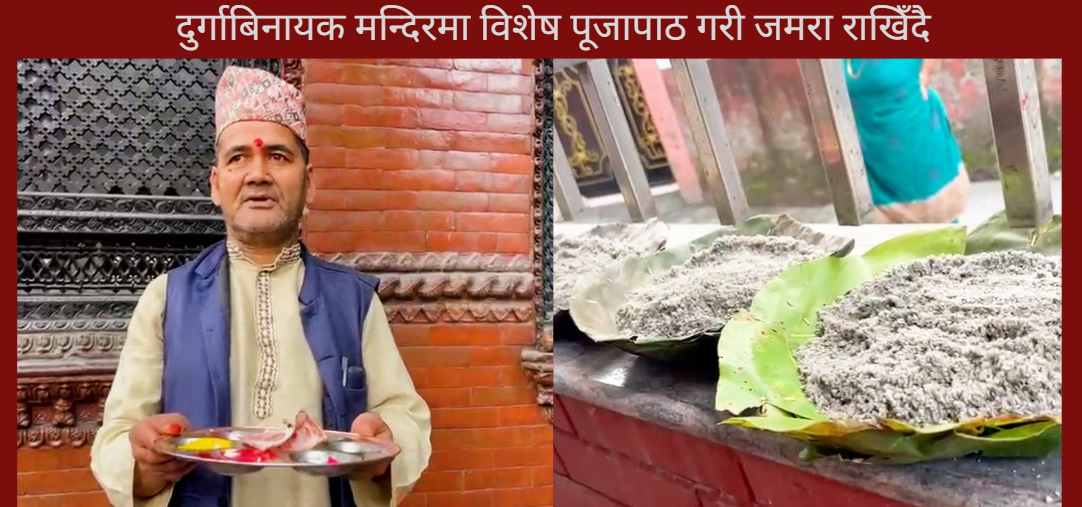 बबरमहलस्थित दुर्गाबिनायक मन्दिरमा घटस्थापनाको अवसरमा जमरा राखिँदै