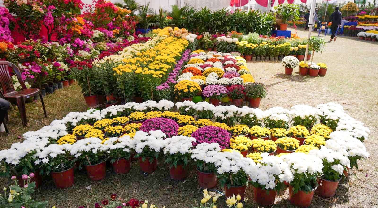 असोज २९देखि १८ औं गोदावरी फूलको प्रतियोगितात्मक प्रदर्शनी हुँदै