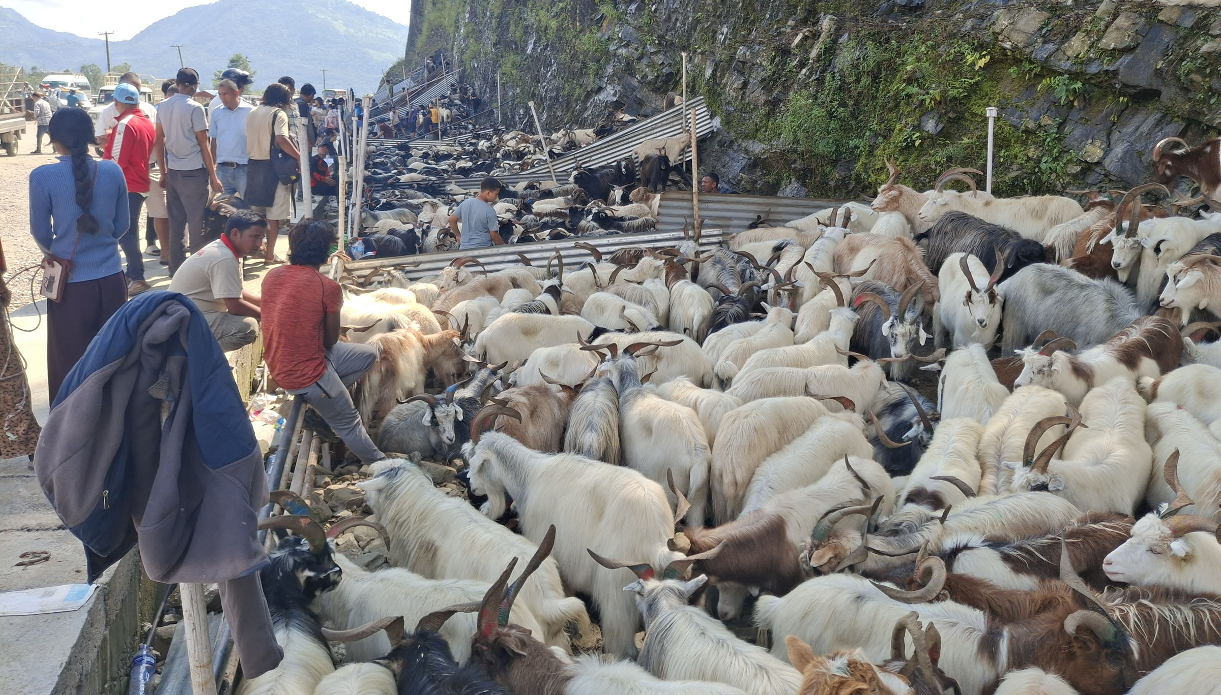 राजमार्ग अवरोधः खसीबोकाको किनबेच यथावत