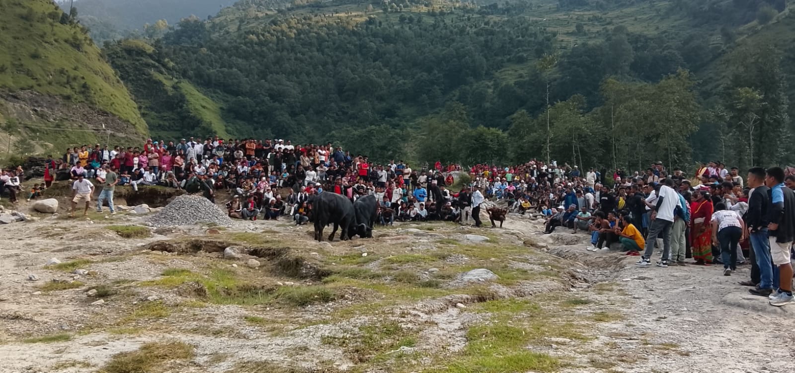 बाजुरामा राँगा जुधाएर बडादशैंको स्वागत