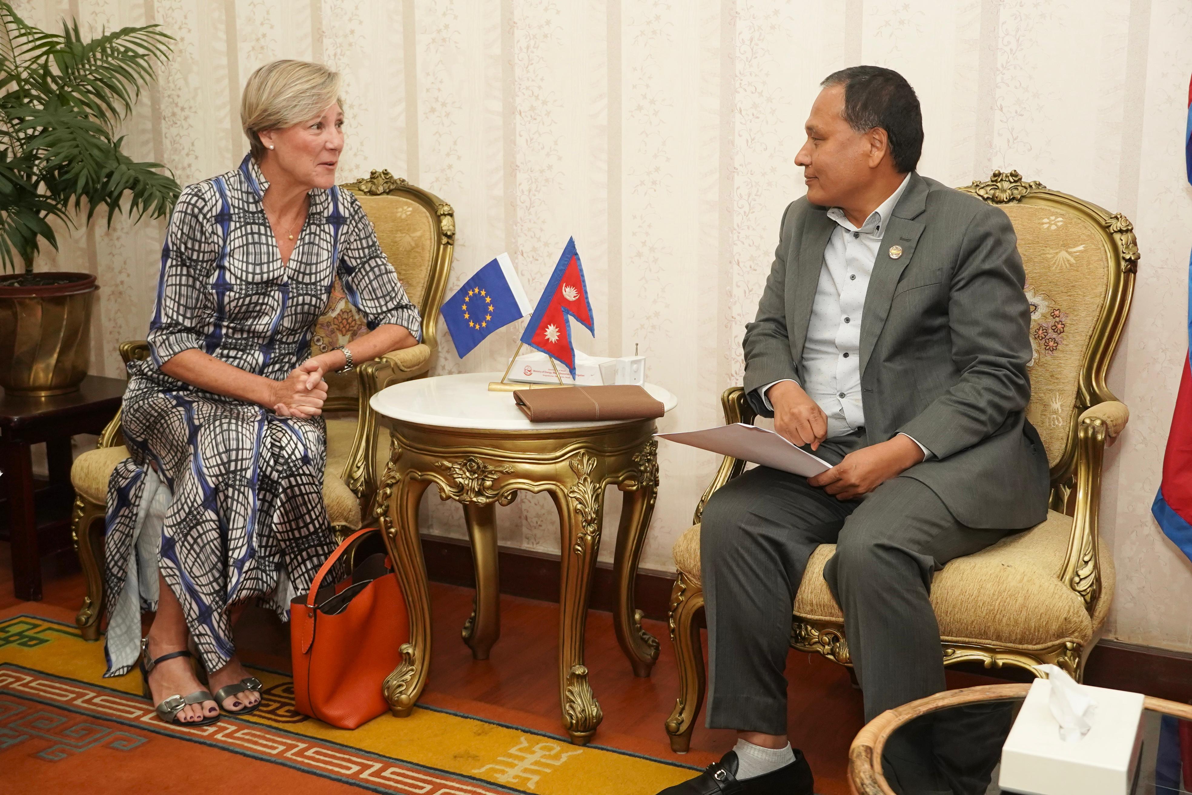 मन्त्री घिसिङ र युरोपेली संघका राजदूतबीच भेट