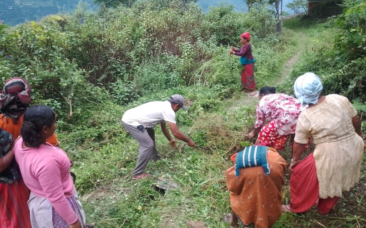 चिटिक्क पारिँदै गाउँ