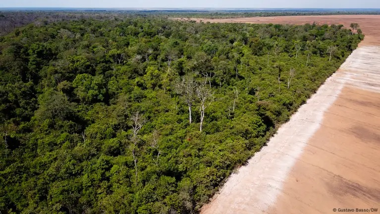 विश्वभर १४६ भूमि तथा वातावरण रक्षकको मृत्यु: ग्लोबल विटनेस प्रतिवेदन