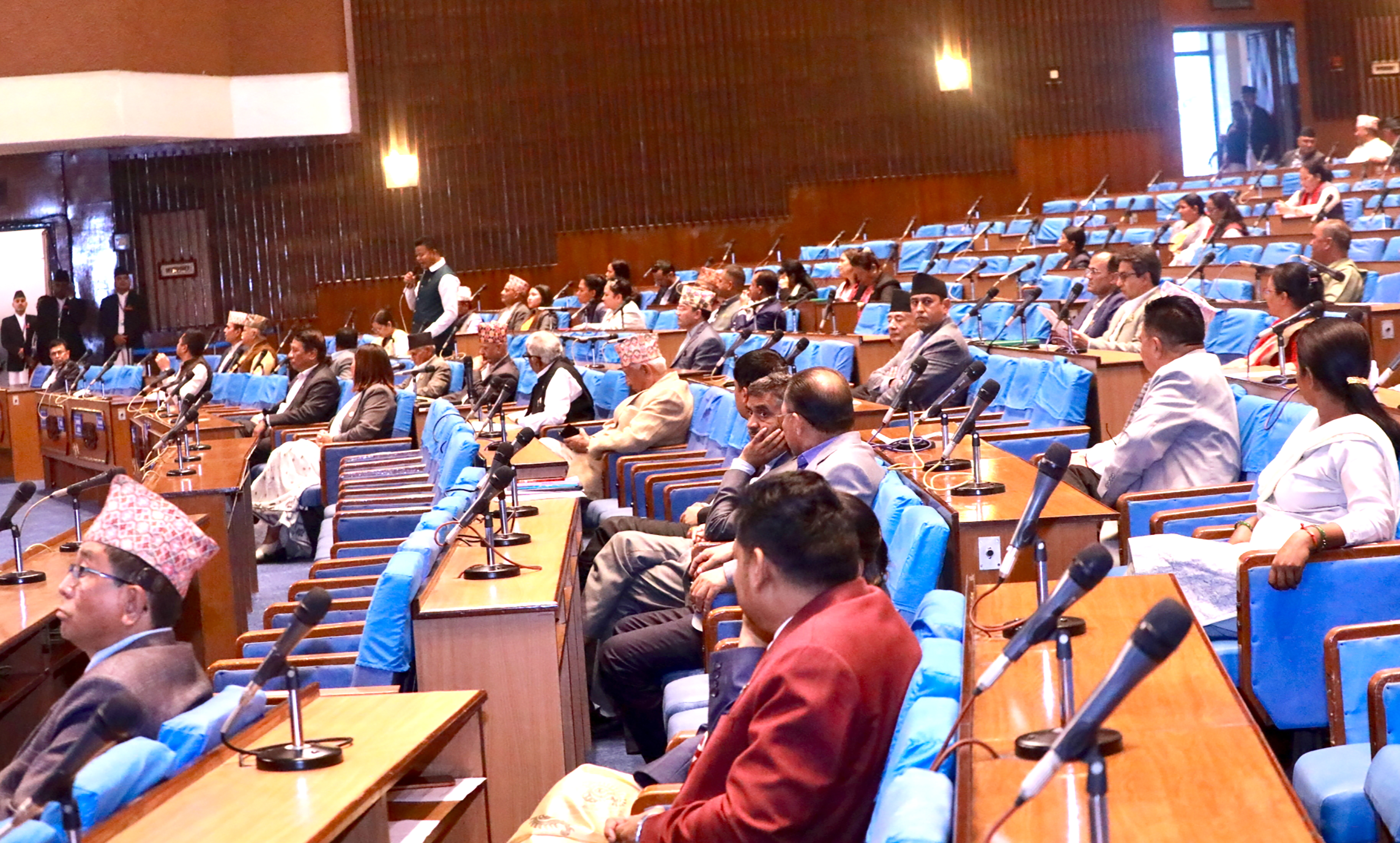 बालबालिकासम्बन्धी विधेयक दफावार छलफलका लागि समितिमा पठाइयो