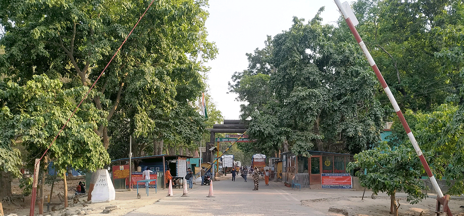 त्रिनगर नाकाबाट नौ हजारभन्दा बढी व्यक्ति स्वदेश भित्रिए