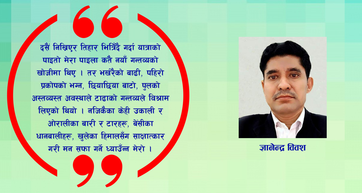 मन्थलीको सौन्दर्य सुनजस्तो धानबाली