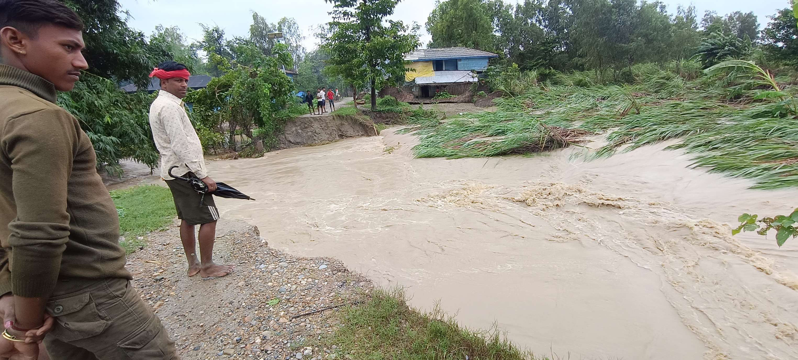 सर्लाहीका १६ सय भन्दाबढी घर बाढीको डुबानमा