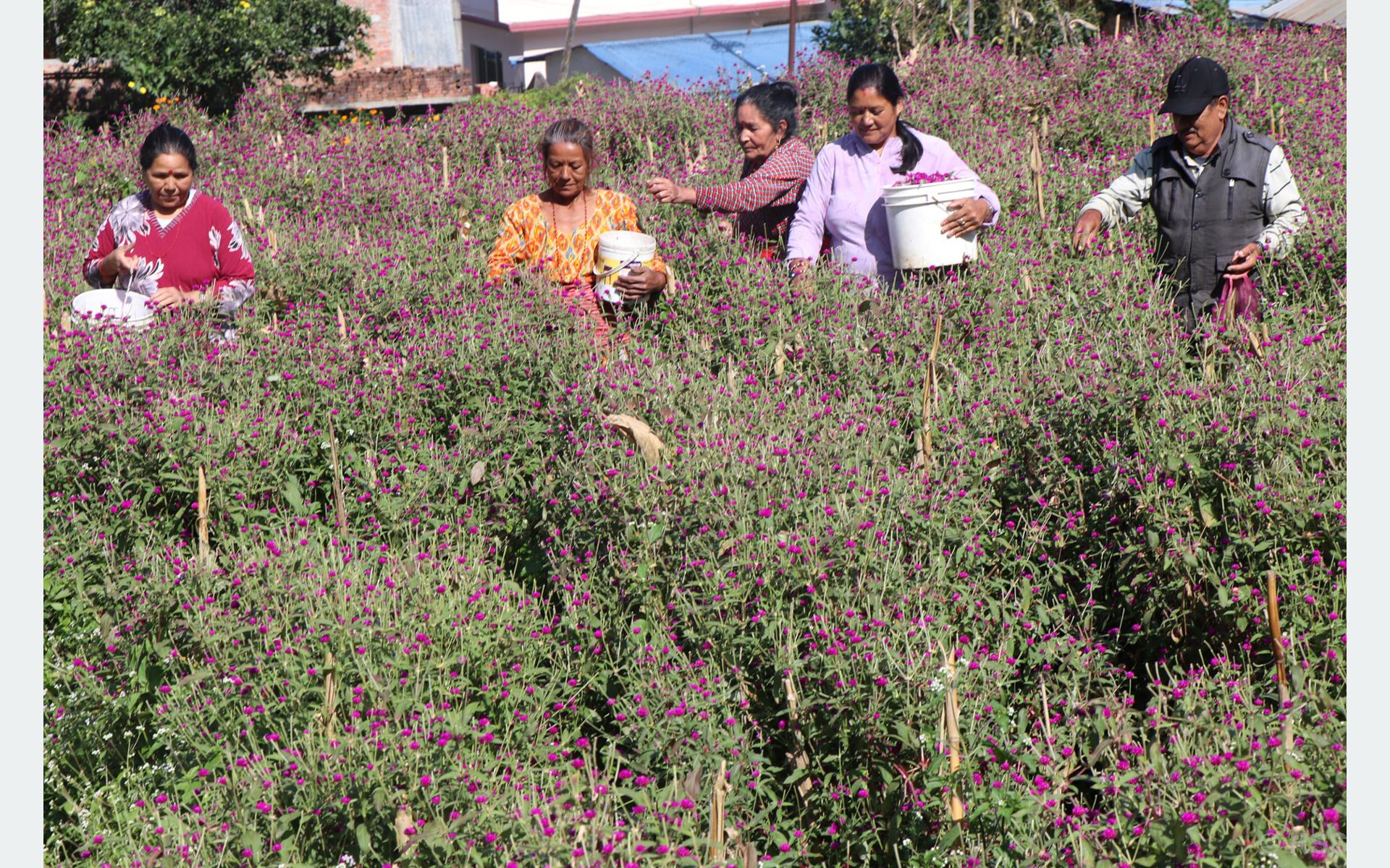 फूलखतीमा रमाउँदै भक्तपुरका महिला