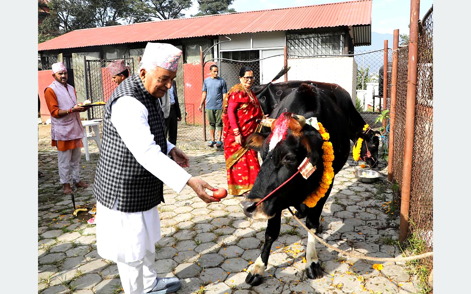 राष्ट्रपति पौडेलद्वारा गाई पूजा