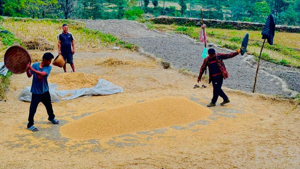 पर्वतमा ६५ करोडको कृषिजन्य वस्तुको कारोबार