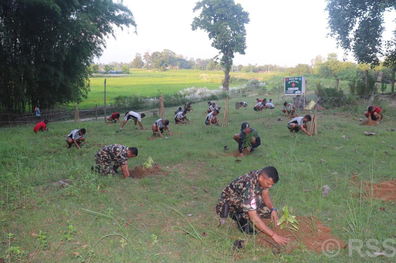 प्रकृति संरक्षणमा नौ हजार सेना