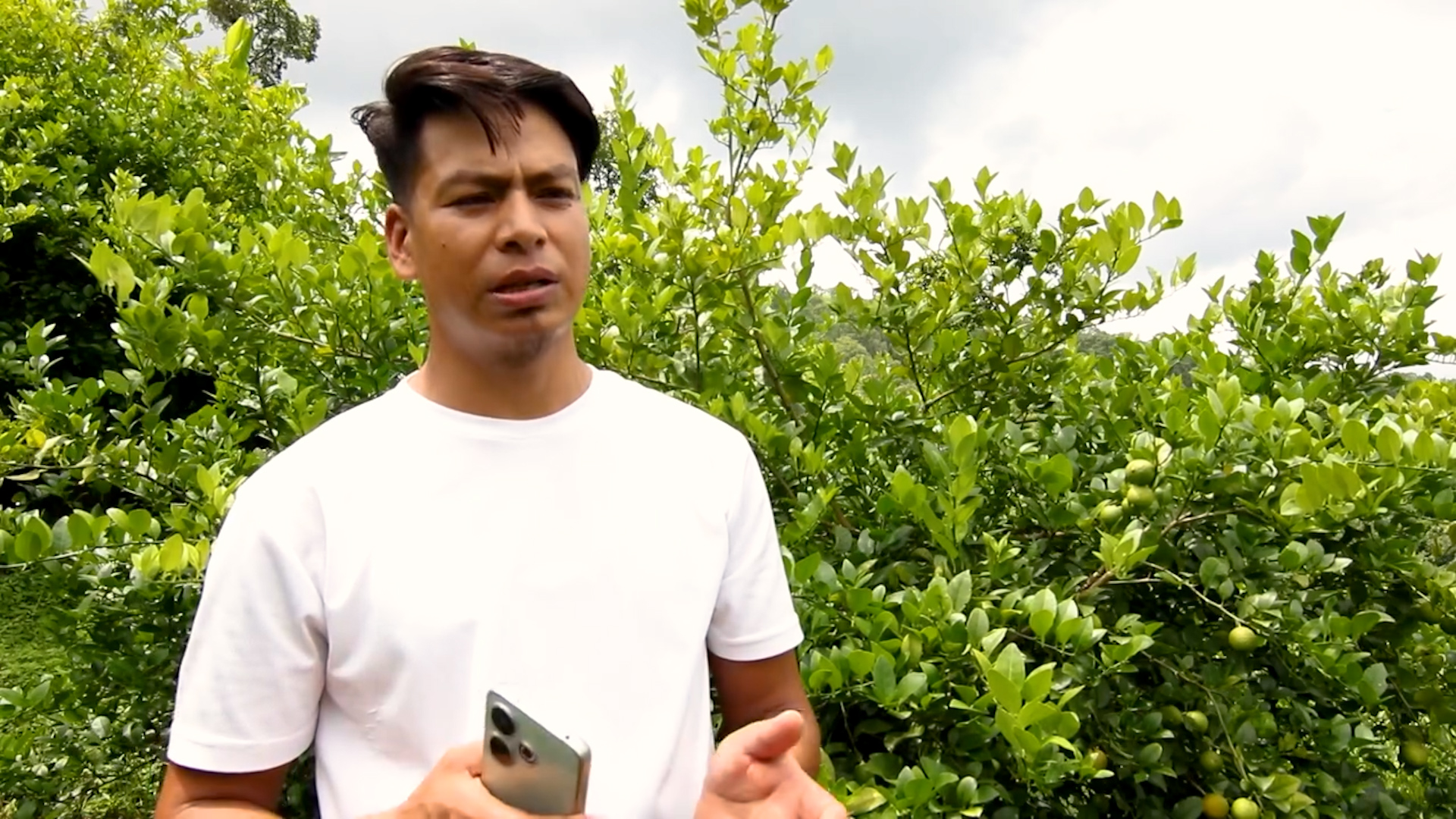 राम्रो आम्दानी हुने भएपछि कागती खेतीमा आकर्षण