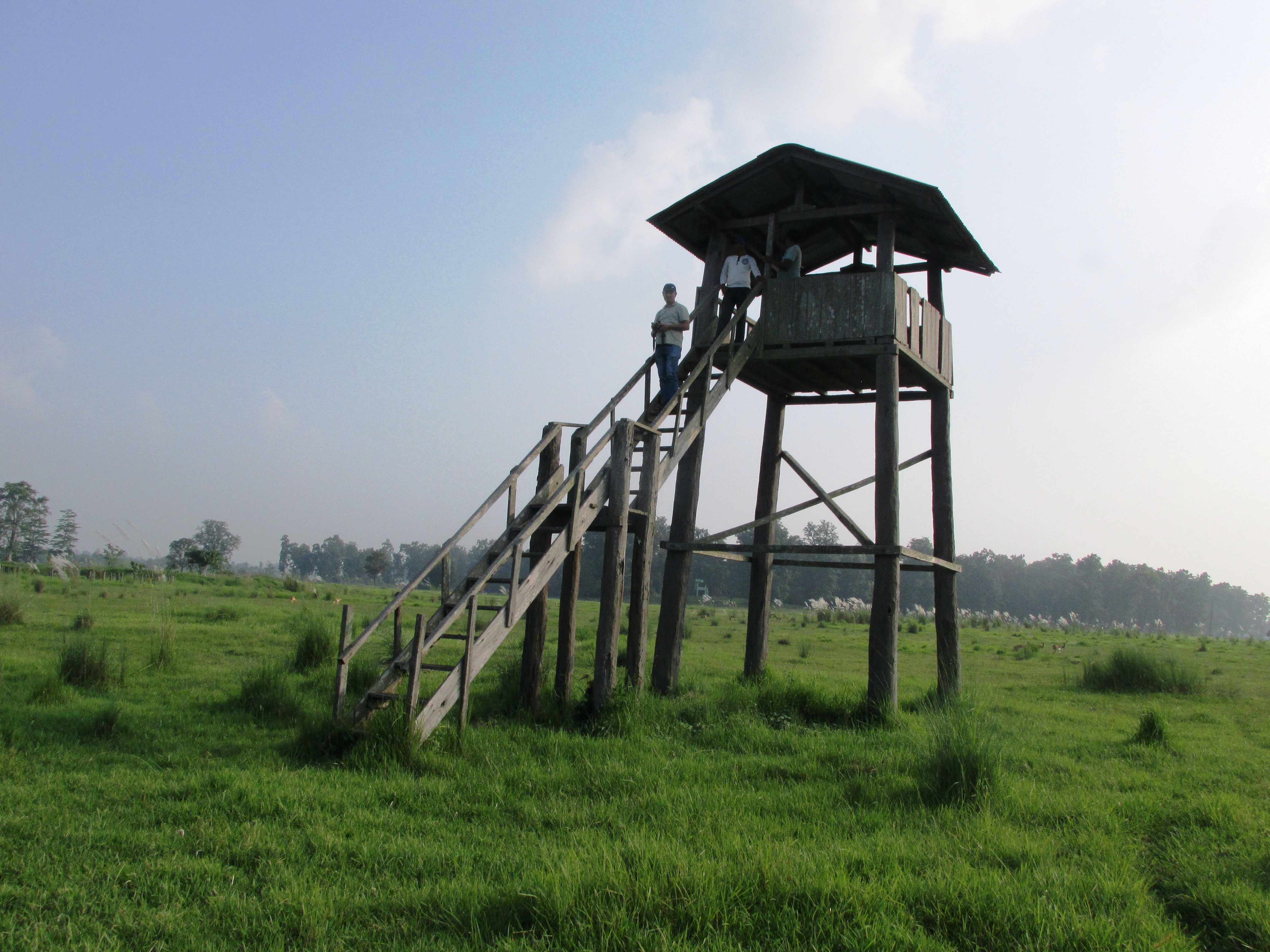 शुक्लाफाँटा राष्ट्रिय निकुञ्जमा जङ्गल सफारीका लागि रुट कायम