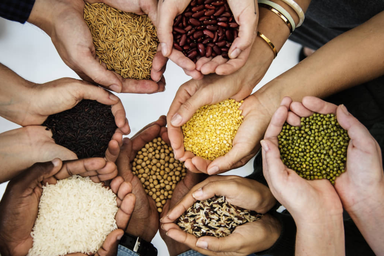 देशभर ५५ प्रतिशत कृषक परिवार खाद्य जोखिममा