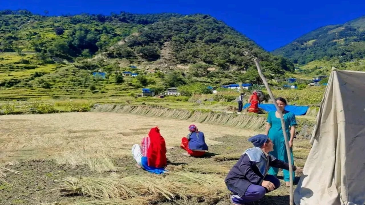 किसानलाई धानबाली भित्र्याउन चटारो