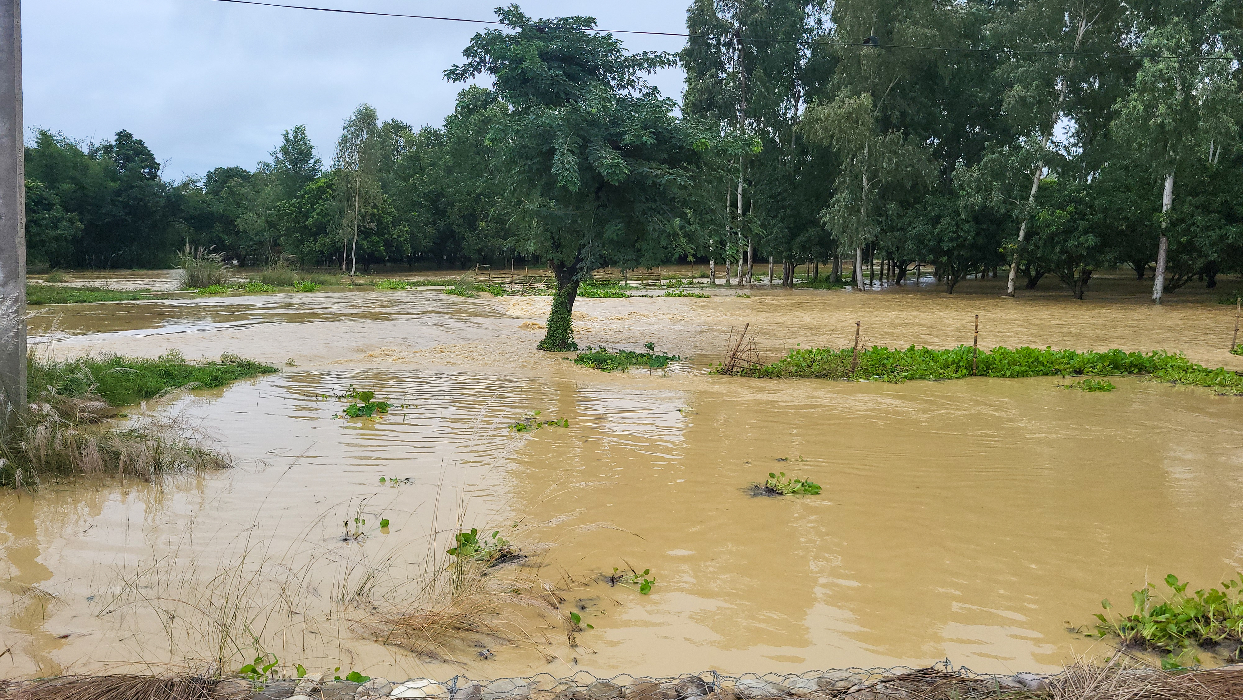 असोज १७ पछिको विपदमा परेर मृत्यु हुने ५३ जना पुगे