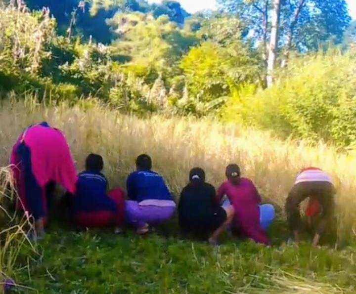 बाजुरामा बालीनाली भित्र्याउन भ्याइनभ्याइ, किसानलाई चाडबाड भन्दा काम प्यारो