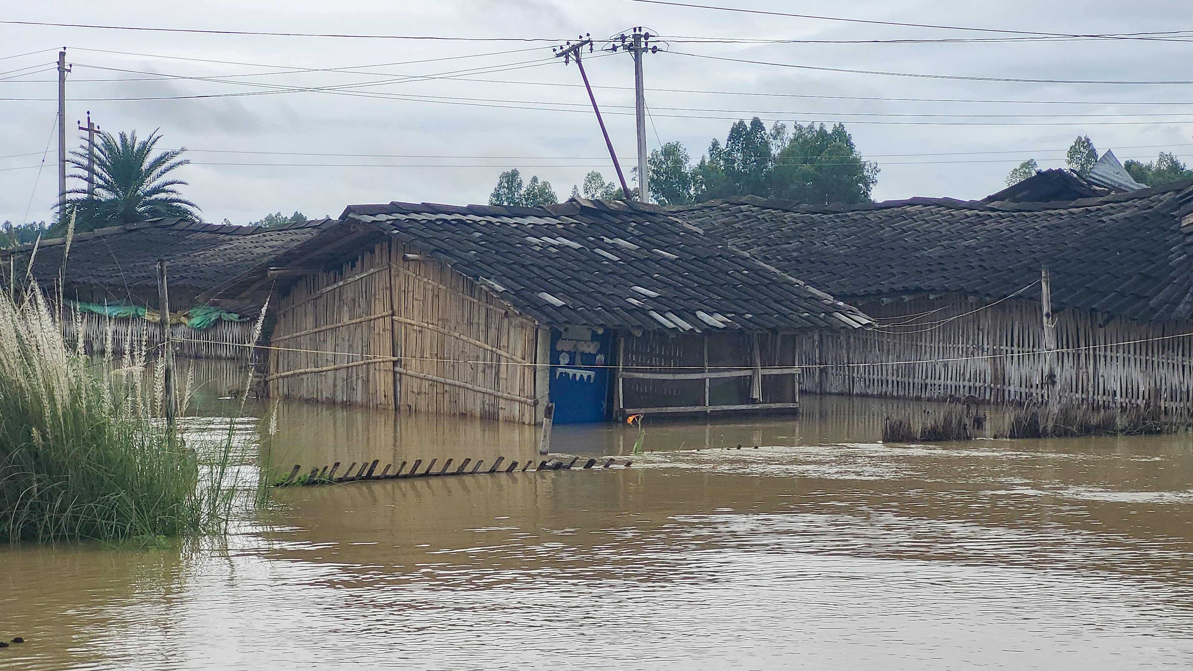मनसुनजन्य विपद्बाट ज्यान गुमाउनेको सङ्ख्या ६० पुग्यो