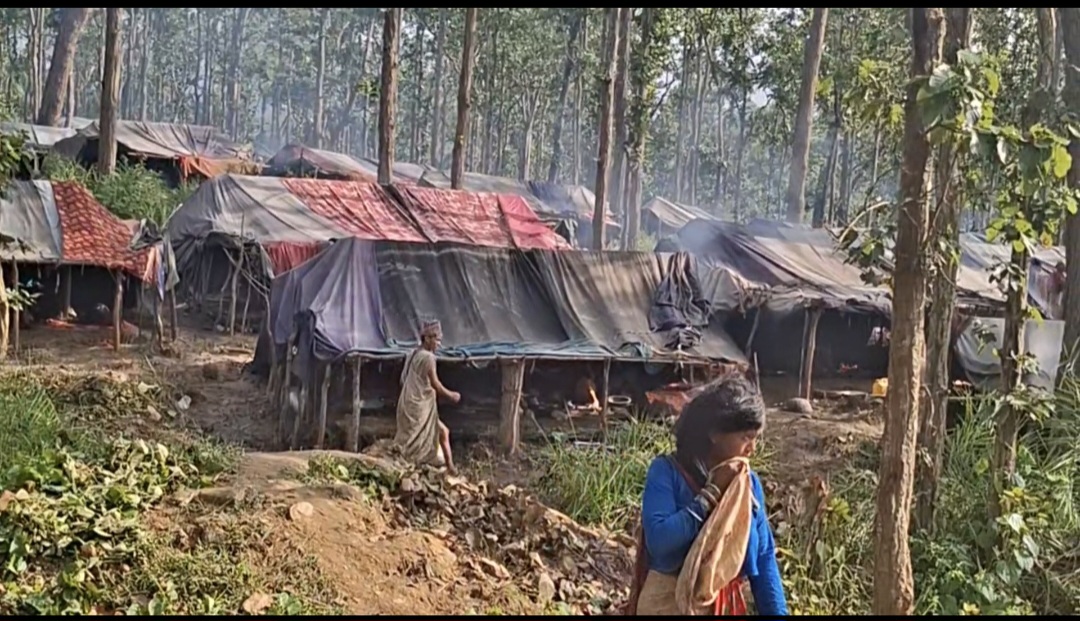 रातका समयमा हाम्रो बस्तीलाई सुरक्षा चाहियो : राउटे समुदायका युवा