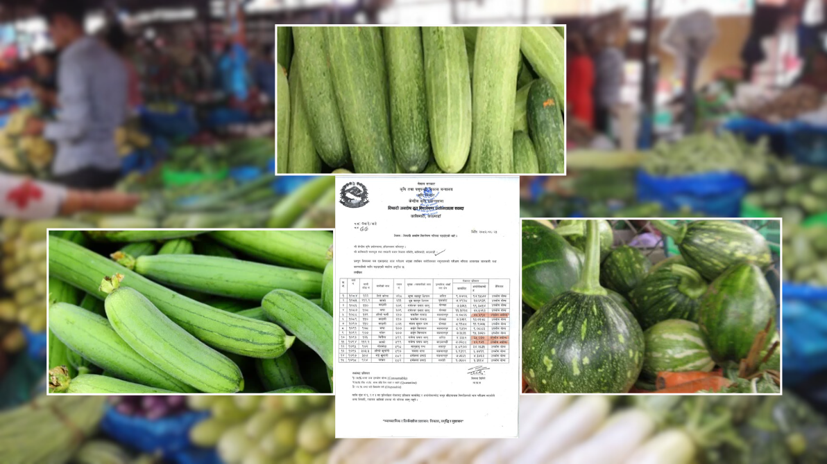 हरियो फर्सी, घिरौंला र काक्रोमा भेटियो अत्याधिक विषादी