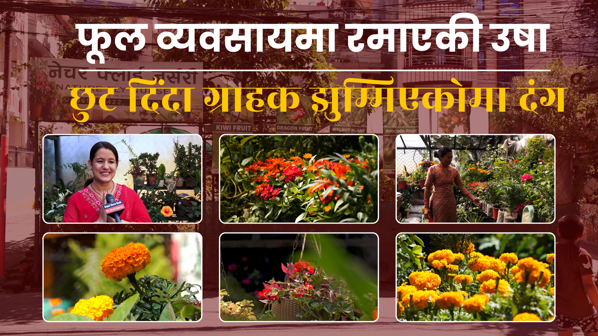 घरमा फूल रोपौं, उज्यालो बनाऔं भन्ने सोच बढेको छ : उषा खड्का