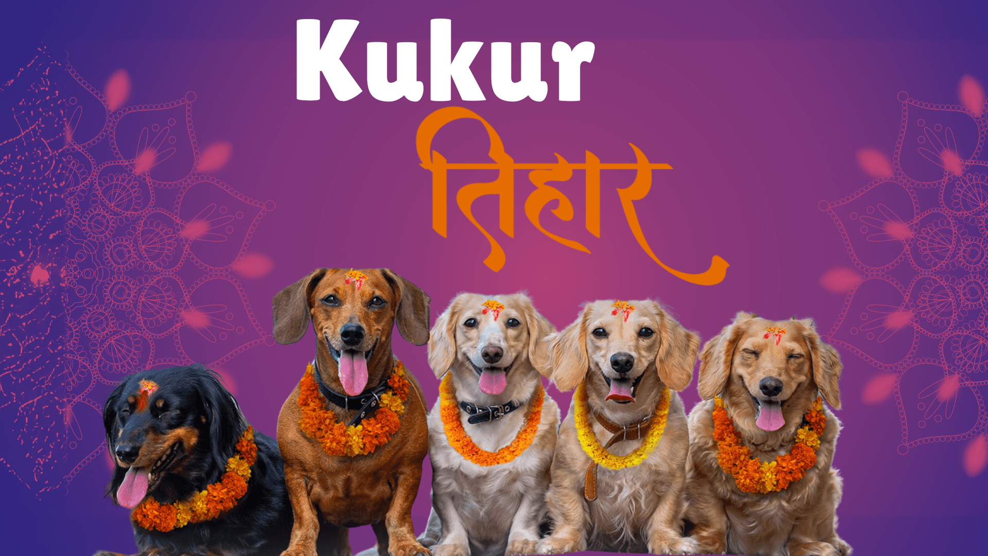 कुकुर तिहारः वफादारी र सद्भावको प्रतीक पूजा