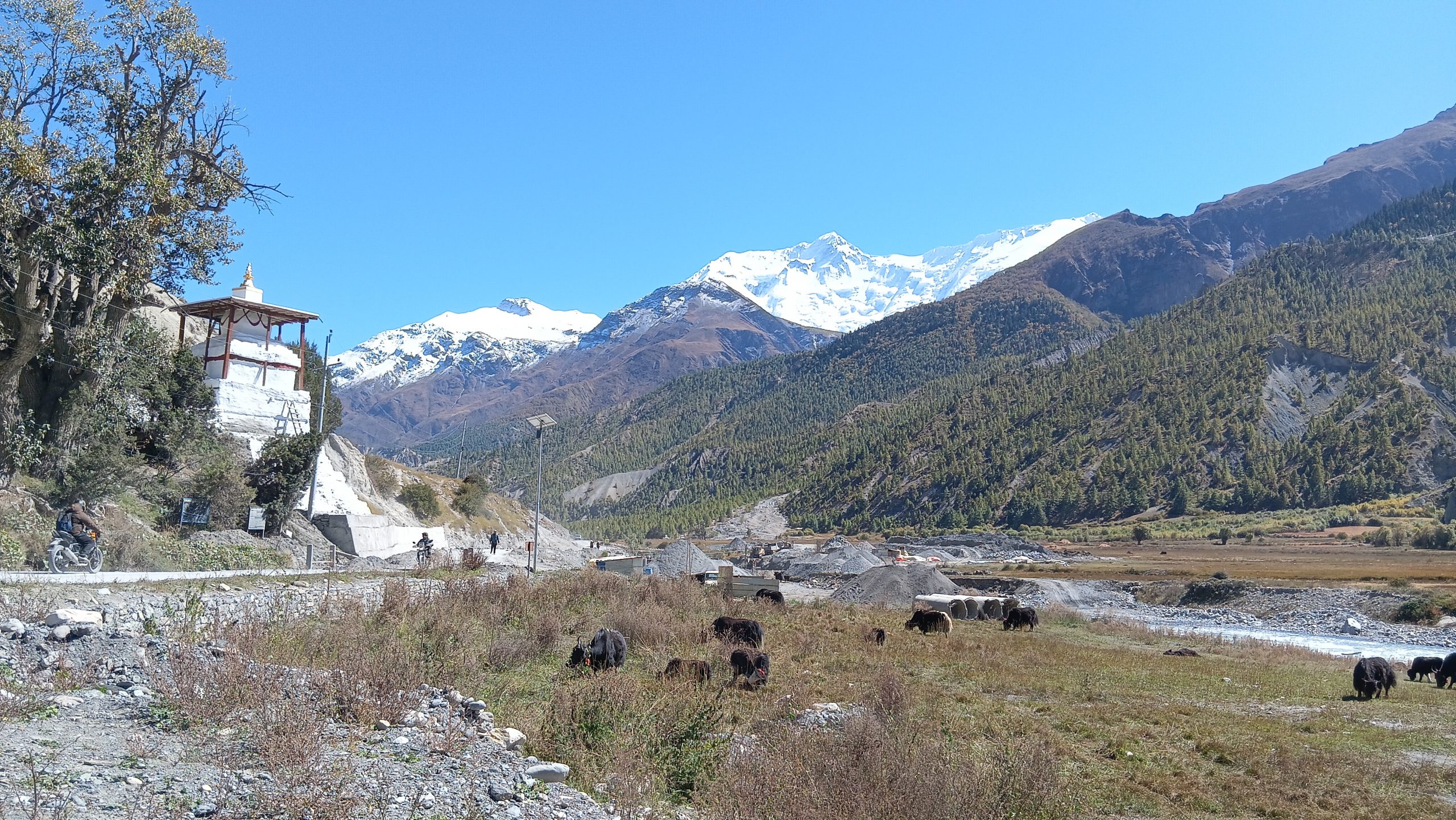 जलवायु परिवर्तनको प्रभावः संकटमा चौंरी खर्क