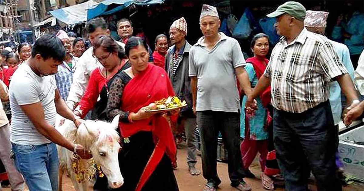 पायःद्यो (खड्ग जात्रा) सहित तलेजुको घोडा जात्रा सम्पन्न