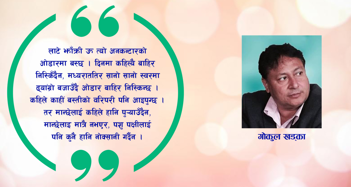 कथा : लाटो झाँक्री