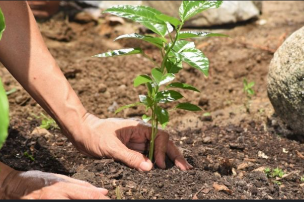 आज युद्ध र सशस्त्र द्वन्द्वमा वातावरणको दुरुपयोग रोक्ने अन्तर्राष्ट्रिय दिवस 
