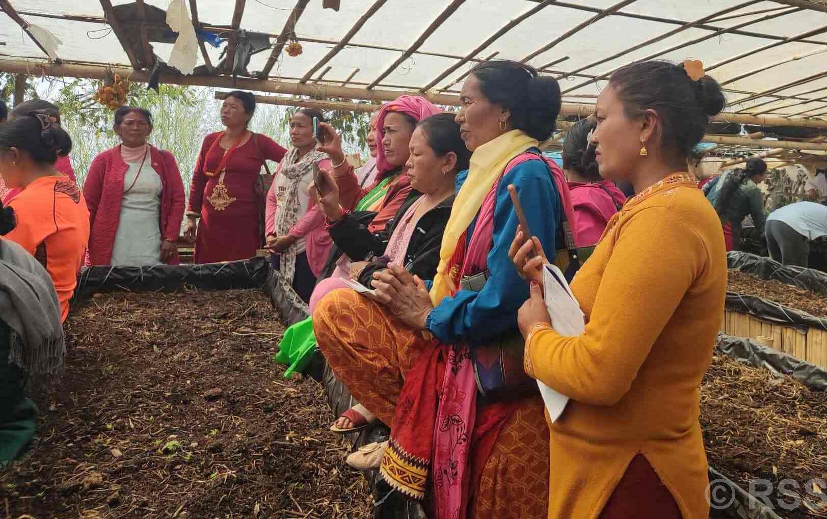 प्रोत्साहनका कार्यक्रमले उद्यमशील बन्दै पौवादुङमा महिला