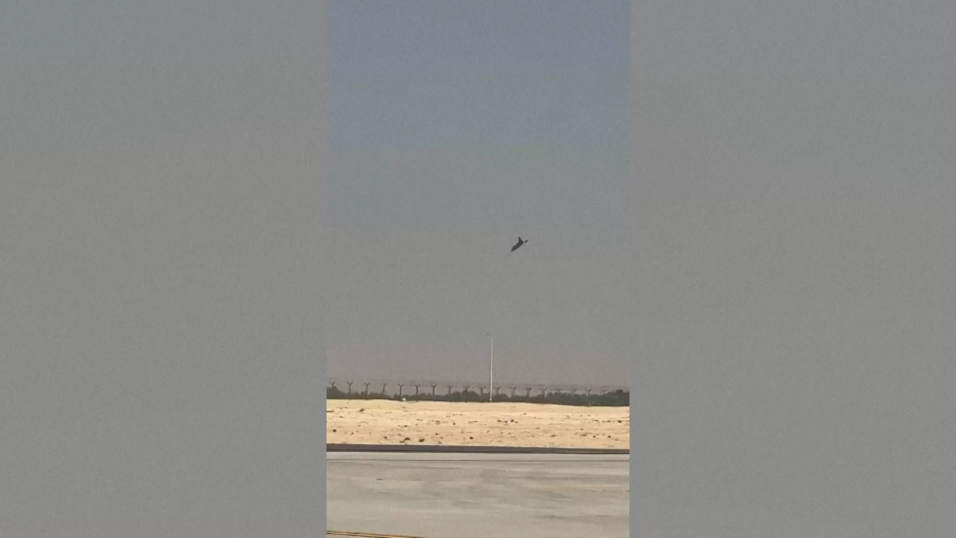 दुबई एयर शोमा भारतीय विमान दुर्घटनाग्रस्त, पाइलटको मृत्यु