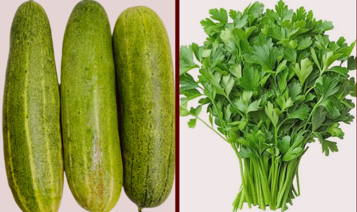 हरियो धनियाँ र काँक्रोमा भेटियो अत्याधिक विषादी