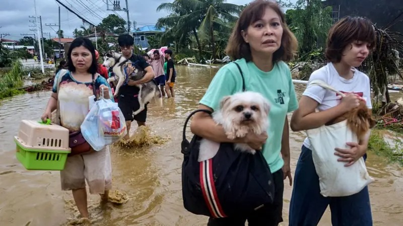 फिलिपिन्समा कालमेगी आँधीबाट ५२ जनाको मृत्यु, लाखौं विस्थापित
